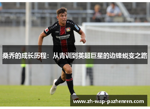 桑乔的成长历程：从青训到英超巨星的边锋蜕变之路