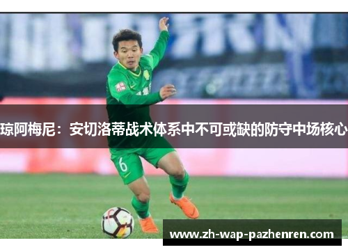 琼阿梅尼：安切洛蒂战术体系中不可或缺的防守中场核心