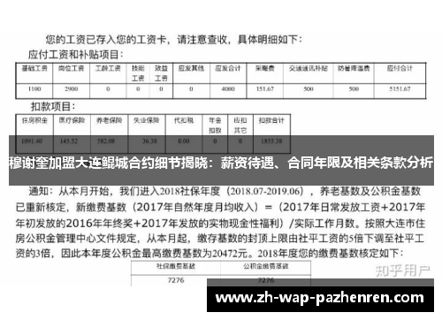 穆谢奎加盟大连鲲城合约细节揭晓：薪资待遇、合同年限及相关条款分析