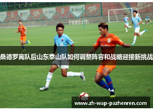 桑德罗离队后山东泰山队如何调整阵容和战略迎接新挑战