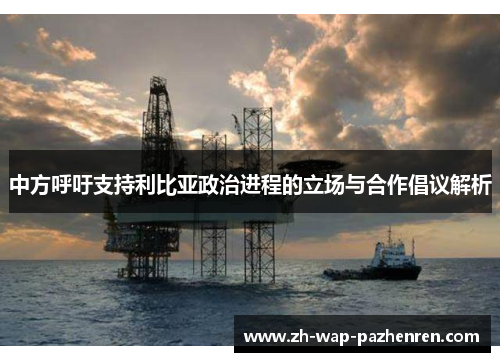 中方呼吁支持利比亚政治进程的立场与合作倡议解析