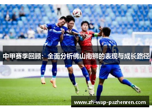 中甲赛季回顾：全面分析佛山南狮的表现与成长路径