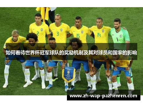 如何看待世界杯冠军球队的奖励机制及其对球员和国家的影响