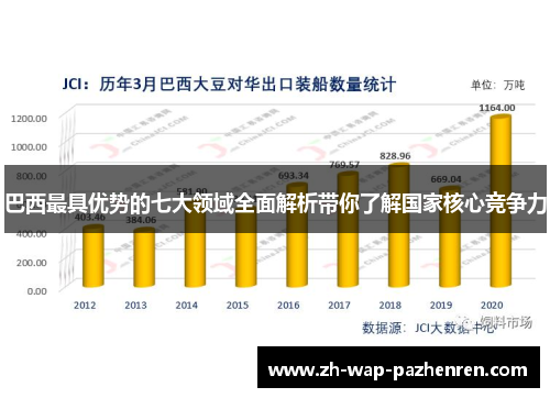 巴西最具优势的七大领域全面解析带你了解国家核心竞争力