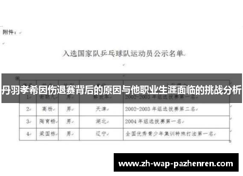 丹羽孝希因伤退赛背后的原因与他职业生涯面临的挑战分析