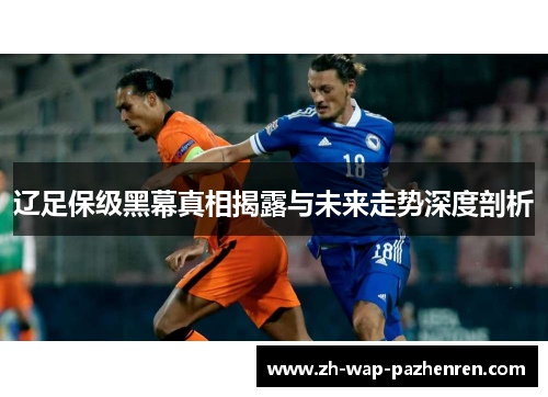 辽足保级黑幕真相揭露与未来走势深度剖析