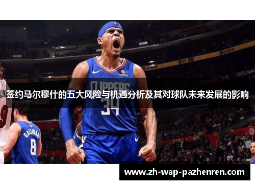 签约马尔穆什的五大风险与机遇分析及其对球队未来发展的影响