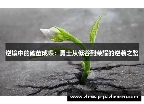 逆境中的破茧成蝶：勇士从低谷到荣耀的逆袭之路